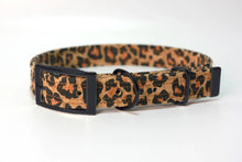 Lade das Bild in den Galerie-Viewer, Hundehalsband mit Dornschnalle | Korkleder | Umweltfreundlich | Robust & Vegan | Leo/Schwarz