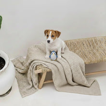 Lade das Bild in den Galerie-Viewer, Nachhaltiges BUDDY. Hundespielzeug aus Leder für kleine Hunde "Pinguin" - schadstofffrei