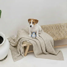 Lade das Bild in den Galerie-Viewer, Nachhaltiges BUDDY. Hundespielzeug aus Leder für kleine Hunde "Pinguin" - schadstofffrei