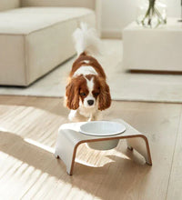 Lade das Bild in den Galerie-Viewer, dogBar® Single Hundenapf | Porzellan | Cashmere Grey | 3 Größen