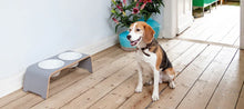 Lade das Bild in den Galerie-Viewer, Futterstation dogBar® für Hunde | Porzellan | Grau | 5 Größen