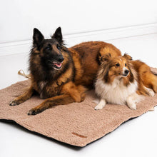 Lade das Bild in den Galerie-Viewer, Hunde Reisedecke "Mia Teddy" Rexproduct | Wasserdichte Unterseite | Öko-Tex Zertifikat | 2 Größen
