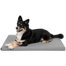 Lade das Bild in den Galerie-Viewer, FINNTO® Basic Hundematte ergonomisch | Antiallergen & wasserdicht | FAIRTRADE & Oeko-Tex® Standard | Hellgrau | Fräulein Plath