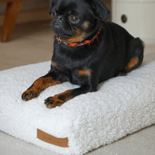 Lade das Bild in den Galerie-Viewer, Rexproduct Indoor Hundehütte "PetHome 2.0" TEDDY | 100% recycelt | S - XL | Hellgrau | 2 Matratzenfarben