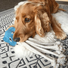 Lade das Bild in den Galerie-Viewer, Nachhaltiges Hundespielzeug Oktopus "Karla Krake" | Spielzeug & Dummy | 100% schadstofffrei | Upcycling Leder & natürliche Baumwolle