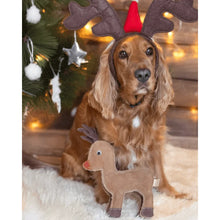 Lade das Bild in den Galerie-Viewer, Weihnachtsgeschenke-Set "Joy to the World" für Hunde | Schadstofffrei & robust | Must Have
