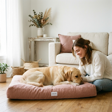 Lade das Bild in den Galerie-Viewer, Hundebett Teddy von Caruso - orthopädisch & recycelt - Oeko-Tex® Standard - 3 Farben & Größen