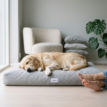 Lade das Bild in den Galerie-Viewer, Hundebett Clean von Caruso - orthopädisch & recycelt - Oeko-Tex® Standard - 2 Farben