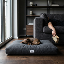 Lade das Bild in den Galerie-Viewer, Hundebett Clean von Caruso - orthopädisch & recycelt - Oeko-Tex® Standard - 2 Farben