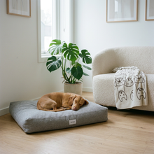Lade das Bild in den Galerie-Viewer, Hundebett Clean von Caruso - orthopädisch & recycelt - Oeko-Tex® Standard - 2 Farben - Hund schläft