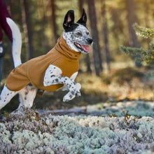 Lade das Bild in den Galerie-Viewer, Wärmende Hundejacke Warming Midlayer ECO von Hurtta | Super bequem & nachhaltig | Recyceltes ECO-Material | Desert