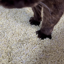 Lade das Bild in den Galerie-Viewer, Nachhaltiges Katzenstreu von HOOPO® | 100% Tofu & SGS/IFRA-zertifizierter Duft | 4x7 Liter (2,5kg)