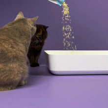 Lade das Bild in den Galerie-Viewer, Nachhaltiges Katzenstreu von HOOPO® | 100% Tofu & SGS/IFRA-zertifizierter Duft | 4x7 Liter (2,5kg)