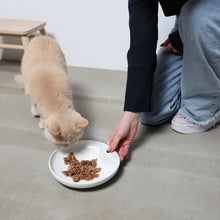 Lade das Bild in den Galerie-Viewer, Katzennapf "Plate" von HOOPO® | 100% Porzellan | 300 ml | Weiß