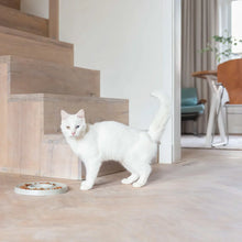 Lade das Bild in den Galerie-Viewer, Katzennapf "Slowfeeder" von HOOPO® | 100% Porzellan | Grau