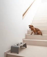 Lade das Bild in den Galerie-Viewer, Futterstation dogBar® für Hunde | Edelstahl | Grau | 5 Größen