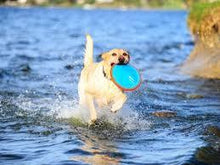 Lade das Bild in den Galerie-Viewer, Öko Soft Frisbee | 100 % recyclebar & made in germany | BPA- und PVC-frei | Türkis