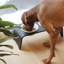 Lade das Bild in den Galerie-Viewer, Futterstation dogBar® für Hunde | Porzellan | Eiche dunkel | 5 Größen