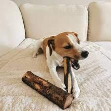 Lade das Bild in den Galerie-Viewer, 100% natürliche Kauknochen aus Olivenholz | Nachwachsender Rohstoff | Made in Germany | 2 Größen