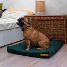 Lade das Bild in den Galerie-Viewer, Öko Hundematratze "SoftPET" | Global Recycled Standard & Oeko-Tex 100 -zertifiziert | 8 Farben