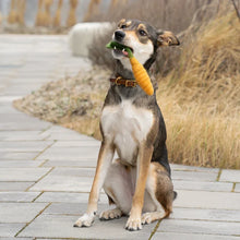 Lade das Bild in den Galerie-Viewer, Nachhaltiges Hundespielzeug Spar-Set "Heimat" | 100% schadstofffrei | Upcycling Leder & Schafwolle