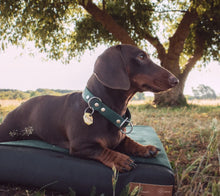 Lade das Bild in den Galerie-Viewer, Rexproduct Hundematratze orthopädisch "Ori Ortho" | OekoTex Standard 100-Zertifikat | 9 Farben