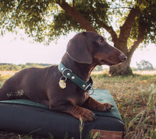 Lade das Bild in den Galerie-Viewer, Rexproduct Hundematratze orthopädisch "Ori Ortho" | OekoTex Standard 100-Zertifikat | 5 Farben | Fräulein Plath
