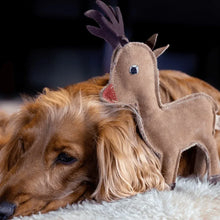 Lade das Bild in den Galerie-Viewer, Nachhaltiges Hundespielzeug Set "Jingle Bell Rock" für Hunde | Schadstofffrei & robust | Tolles Weihnachtsgeschenk