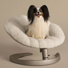 Lade das Bild in den Galerie-Viewer, Schwingendes Haustierbett SHELL von TAVO| Für Hund & Katze | GREENGUARD-Gold-Zertifizierung