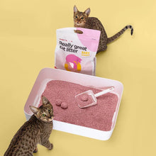 Lade das Bild in den Galerie-Viewer, Nachhaltiges Katzenstreu Tofu Fine Babypuder von HOOPO® | 100% Tofu | Babypuder Duft | Blitzschnelle Klumpenbildung | Fräulein Plath