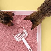 Lade das Bild in den Galerie-Viewer, Nachhaltiges Katzenstreu Tofu Fine Babypuder von HOOPO® | 100% Tofu | Babypuder Duft | Blitzschnelle Klumpenbildung | Fräulein Plath