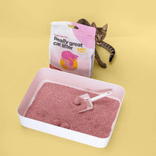 Lade das Bild in den Galerie-Viewer, Nachhaltiges Katzenstreu Tofu Fine Babypuder von HOOPO® | 100% Tofu | Babypuder Duft | Blitzschnelle Klumpenbildung | Fräulein Plath
