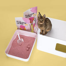 Lade das Bild in den Galerie-Viewer, Nachhaltiges Katzenstreu Tofu Fine Babypuder von HOOPO® | 100% Tofu | Babypuder Duft | Blitzschnelle Klumpenbildung | Fräulein Plath