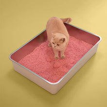 Lade das Bild in den Galerie-Viewer, 2x17L Nachhaltiges Katzenstreu Tofu Babypuder von HOOPO® | 100% Tofu | Babypuder Duft | Blitzschnelle Klumpenbildung