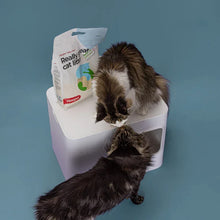 Lade das Bild in den Galerie-Viewer, Nachhaltiges Katzenstreu Tofu Fein Natural von HOOPO® | 100% Tofu | Blitzschnelle Klumpenbildung | Fräulein Plath