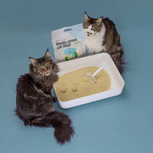 Lade das Bild in den Galerie-Viewer, Nachhaltiges Katzenstreu Tofu Fein Natural von HOOPO® | 100% Tofu | Blitzschnelle Klumpenbildung | Fräulein Plath