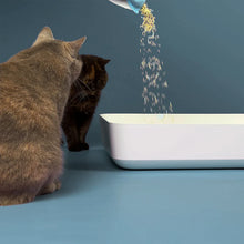 Lade das Bild in den Galerie-Viewer, 2x17L Nachhaltiges Katzenstreu Tofu Natural von HOOPO® | 100% Tofu | Blitzschnelle Klumpenbildung | 2 Katzen