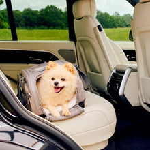 Lade das Bild in den Galerie-Viewer, Flug- & Transporttasche Tavo Dupree II für Hunde & Katzen bis 9 kg | GREENGUARD-Gold-Zertifizierung | Farbe: Merle