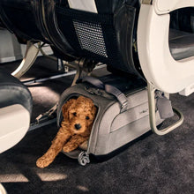 Lade das Bild in den Galerie-Viewer, Flug- & Transporttasche Tavo Dupree II für Hunde & Katzen bis 9 kg | GREENGUARD-Gold-Zertifizierung | Farbe: Merle