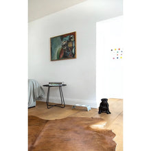 Lade das Bild in den Galerie-Viewer, Futterstation dogBar® für Hunde | Porzellan | Grau | 5 Größen