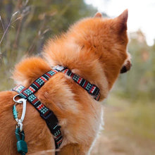 Lade das Bild in den Galerie-Viewer, Nachhaltiges Hundegeschirr | Recycelt & reflektierend | Woodland von Woolly Wolf