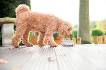 Lade das Bild in den Galerie-Viewer, Hundenapf ROCKY von Laboni | Naturprodukt & schadstofffrei | Handarbeit
