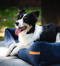 Lade das Bild in den Galerie-Viewer, Premium Hundebett Rexproduct | Recycelte Materialien & schadstofffrei | Marine | 9 versch. Matratzenfarben