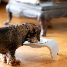 Lade das Bild in den Galerie-Viewer, Futterstation dogBar® für Hunde | Porzellan | Grau | 5 Größen