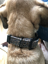 Lade das Bild in den Galerie-Viewer, Hundehalsband mit Dornschnalle | Korkleder | Umweltfreundlich | Robust & Vegan | Leo blau/schwarz