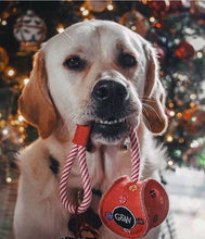 Lade das Bild in den Galerie-Viewer, Nachhaltiges Hundespielzeug "Monsieur Bauble" | Upcycling Wildleder | 100% biologisch abbaubar | Reizendes Weihnachtsgeschenk