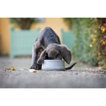 Lade das Bild in den Galerie-Viewer, Hundenapf ROCKY von Laboni | Naturprodukt & schadstofffrei | Handarbeit