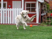 Lade das Bild in den Galerie-Viewer, Öko Hundeball | Orange | BPA-frei | 100% recyclebar & Made in Germany| 2 Größen