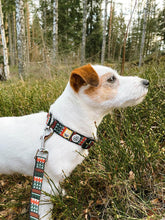 Lade das Bild in den Galerie-Viewer, Nachhaltiges Hundehalsband | Recycelt & vegan | Robust | Woodland von Woollf Wolf