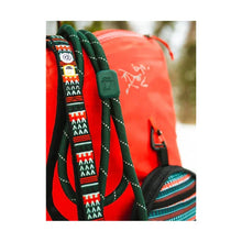 Lade das Bild in den Galerie-Viewer, Nachhaltiges Hundehalsband | Recycelt & vegan | Robust | Woodland von Woollf Wolf